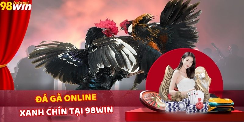 đá gà online