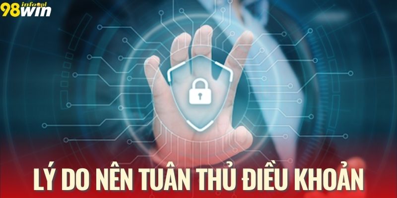 Nguyên nhân nên tuân thủ điều khoản khi tham gia cá cược
