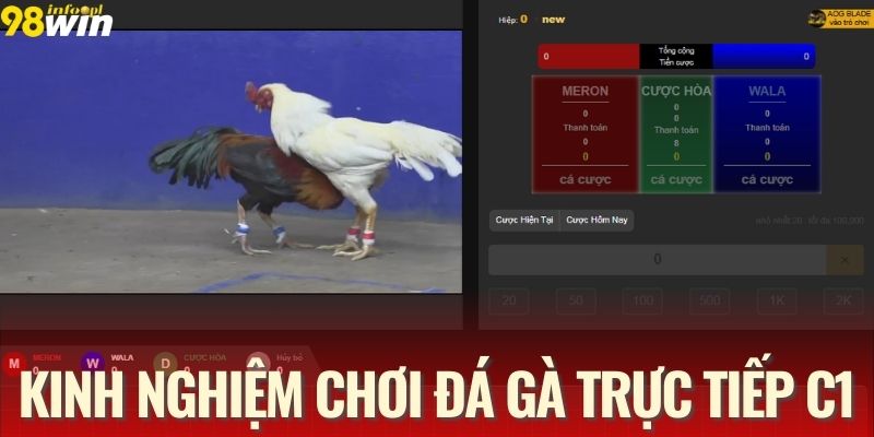 Mẹo cược hiệu quả khi tham gia luật chơi đá gà C1