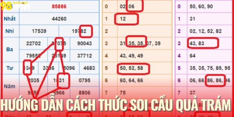 Hướng dẫn cách soi cầu quả trám cho ra số chính xác 99%