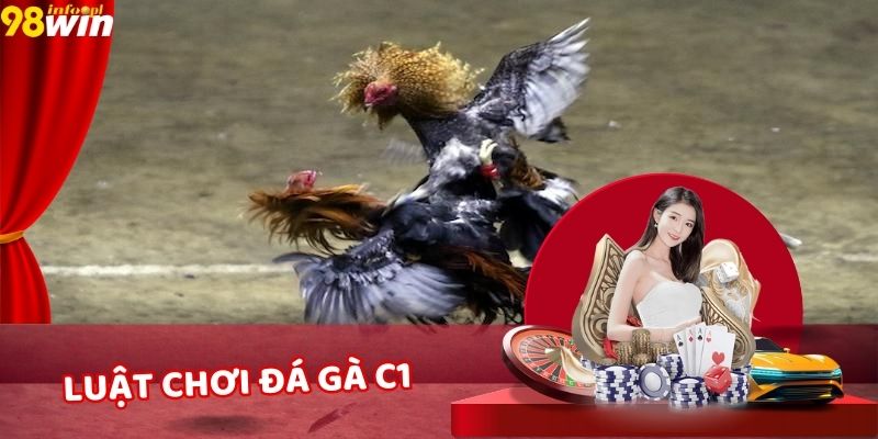 Luật Chơi Đá Gà C1 – Hiểu Rõ Hơn Về Giải Đấu Huyền Thoại