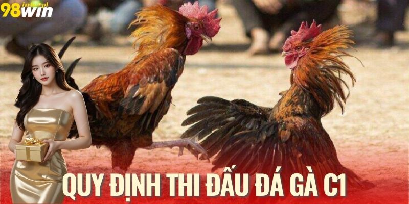 Khái quát về đá gà C1 - Truyền thống và quy định thi đấu
